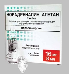 Концентрат Норадреналин Агетан