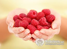 Калорийность малины свежей, замороженной, перетертой с сахаром