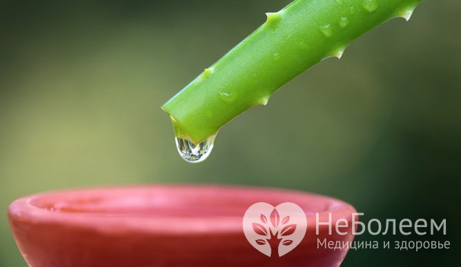 Тампоны с соком алоэ