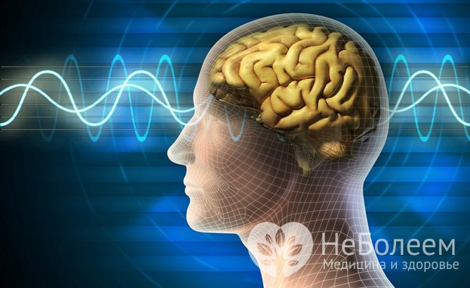 Ткань головного мозга имеет серый цвет - один из мифов о человеческом мозге