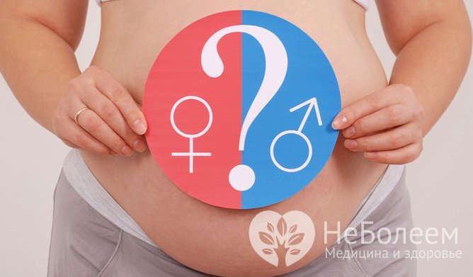 Пол ребенка при проведении ЭКО выбирать запрещено