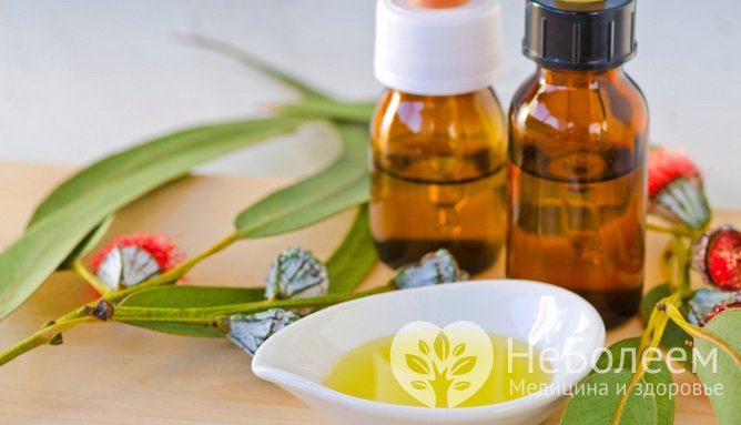 Эвкалипт и календула