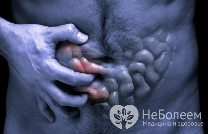 Для кишечного акариаза характерны боль в животе, рвота, диарея