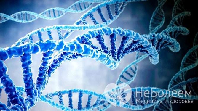 В большинстве случаев атопический дерматит обусловлен наследственной предрасположенностью