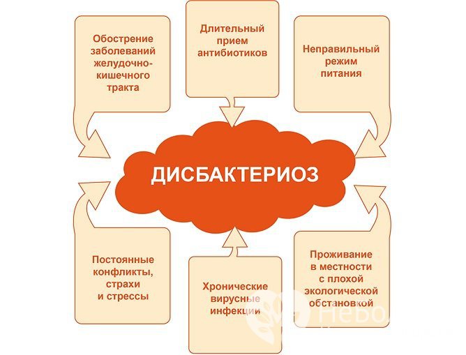 Причины дисбактериоза кишечника