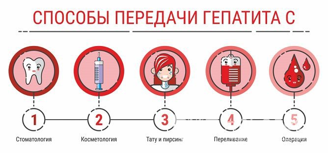 Способы передачи гепатита С