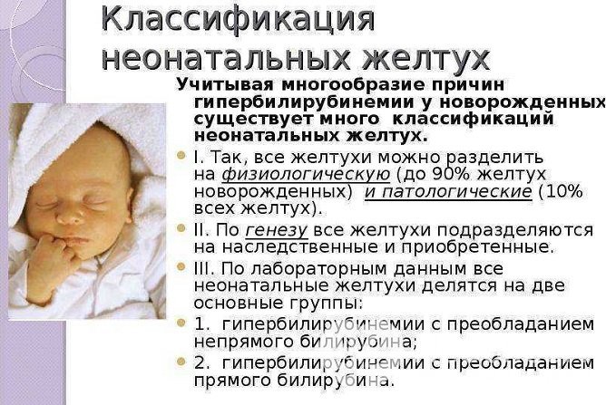 Классификация желтух у новорожденных