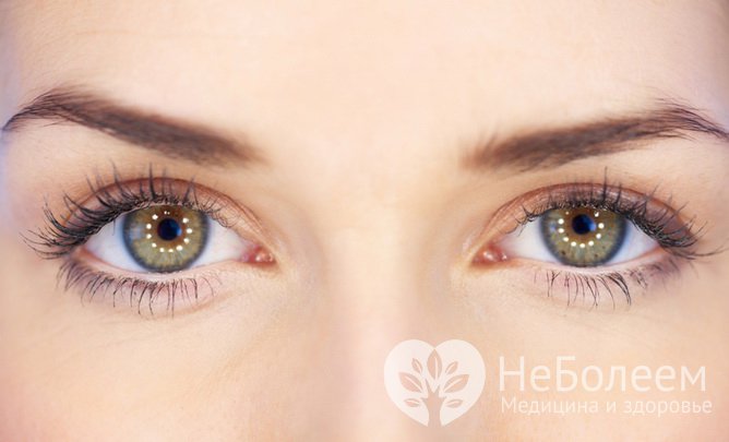 Что такое дальтонизм?