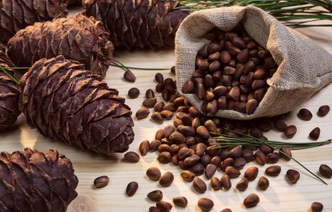 Лечение кедровыми орехами: 5 целебных средств