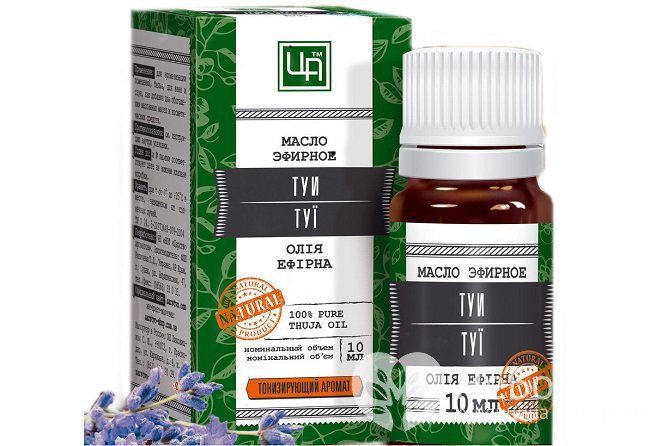 Масло туи обладает сосудосуживающим и противовоспалительным действием